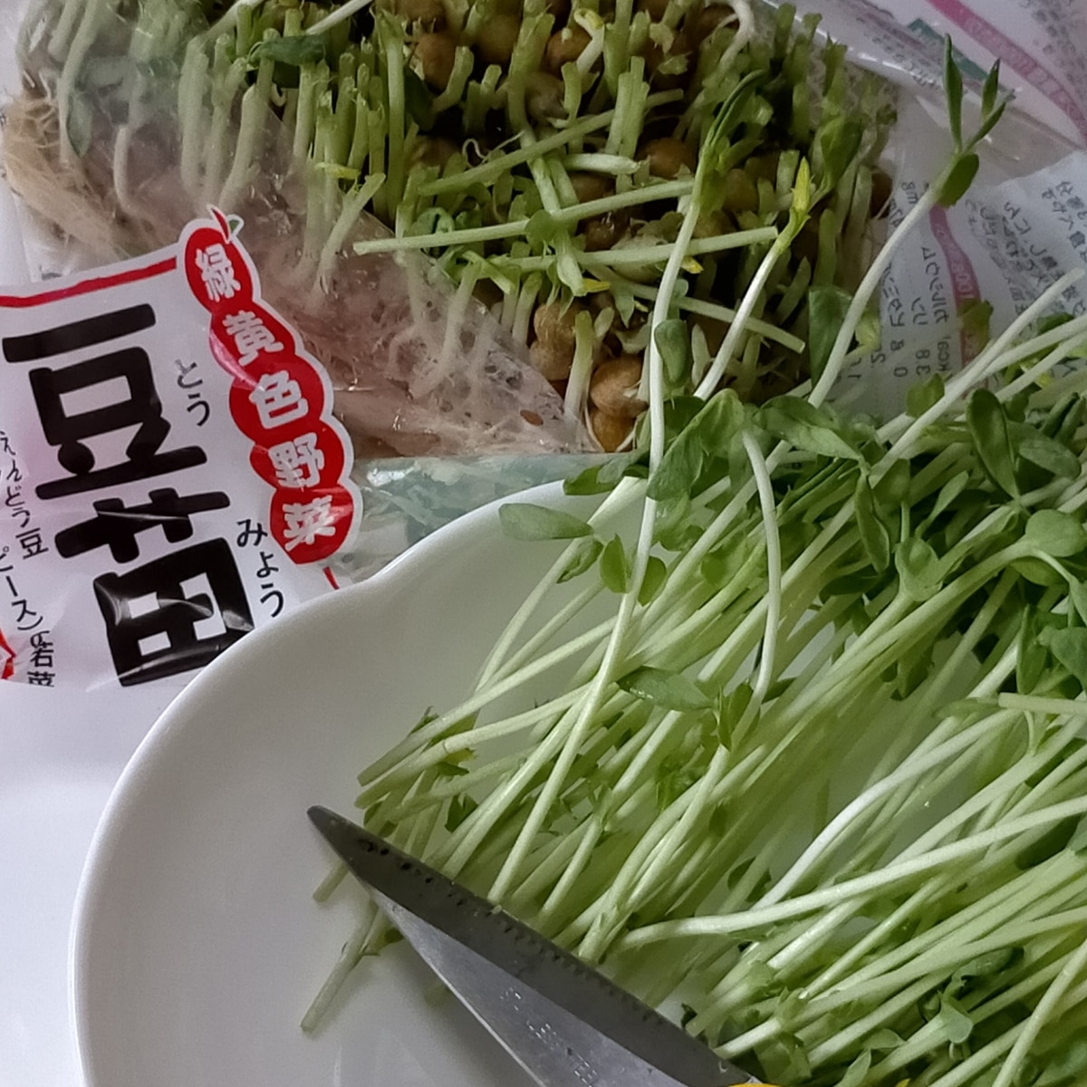 豆苗を使ったあと水栽培 で育てられますよ レシピ 作り方 By こってぃさん 楽天レシピ 豆苗を使ったあと水栽培 で育てられますよ レシピ 作り方 By こってぃさん 楽天レシピ